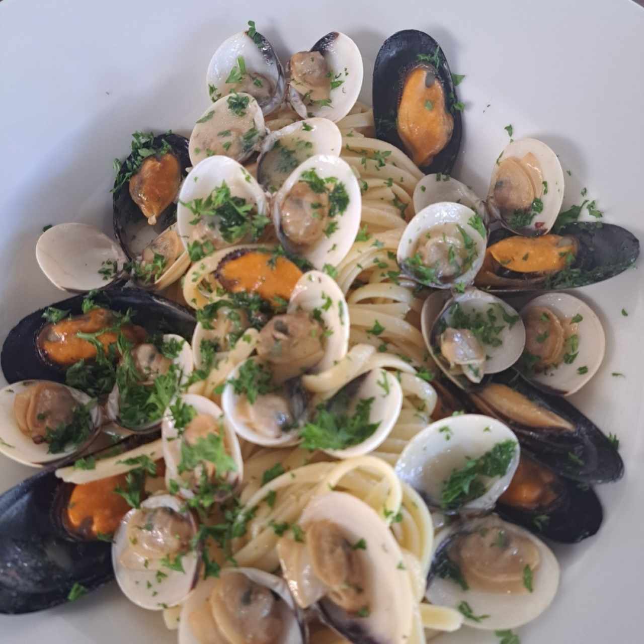 Fetuchini con mejillones y almejas