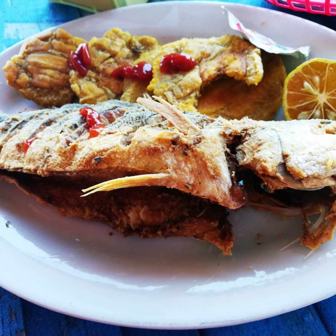 Corvina frita