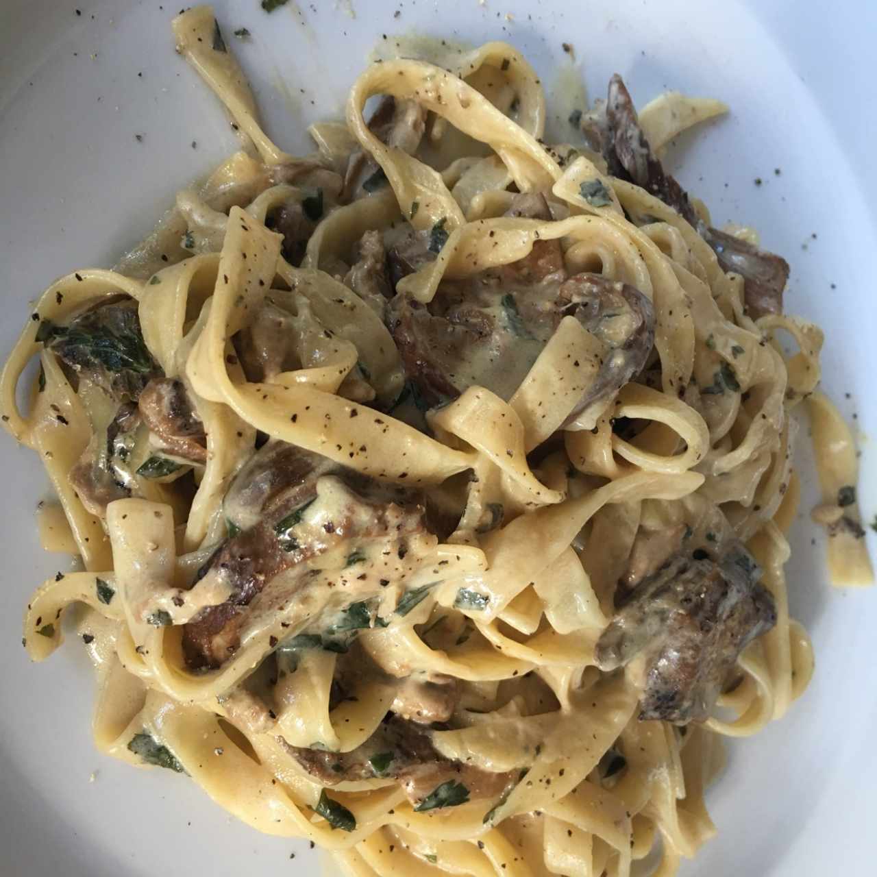 tagliatele con hongos porcini