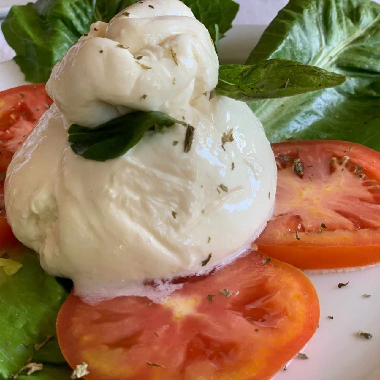 Burrata ❤️