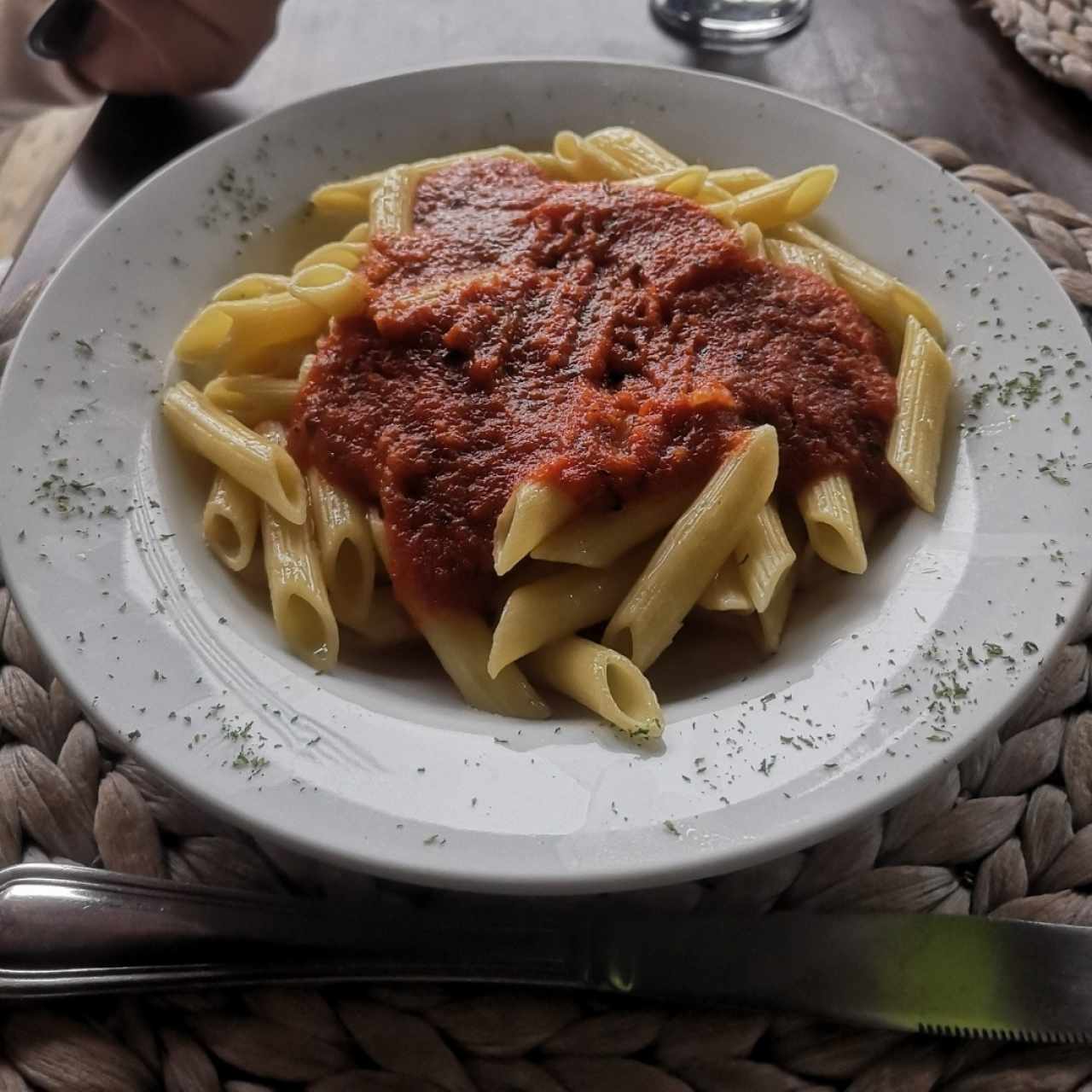 pasta penne en salsa roja