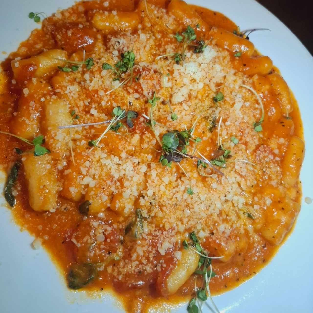 Gnocchi de Papas Caseras con fonduta de Queso Provolone ,almendras rostizadas y miel de Boquete