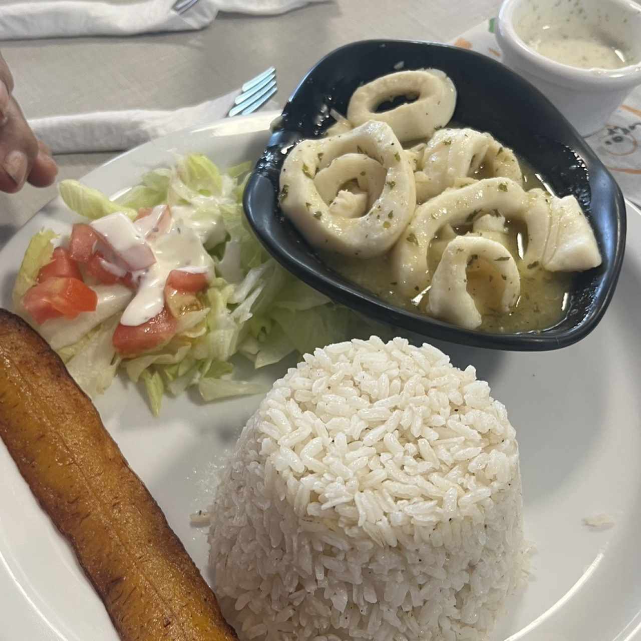 CALAMARES