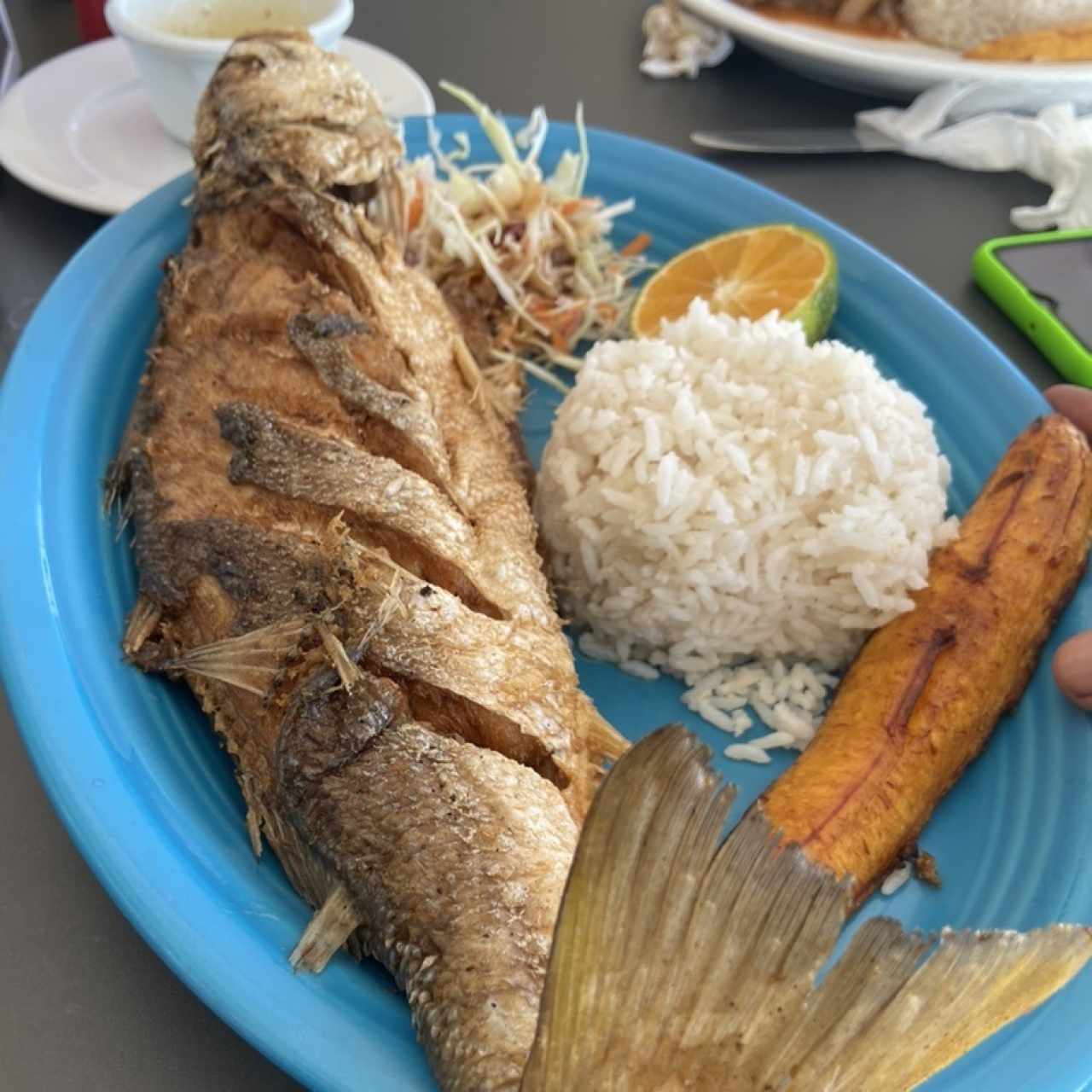 Corvina