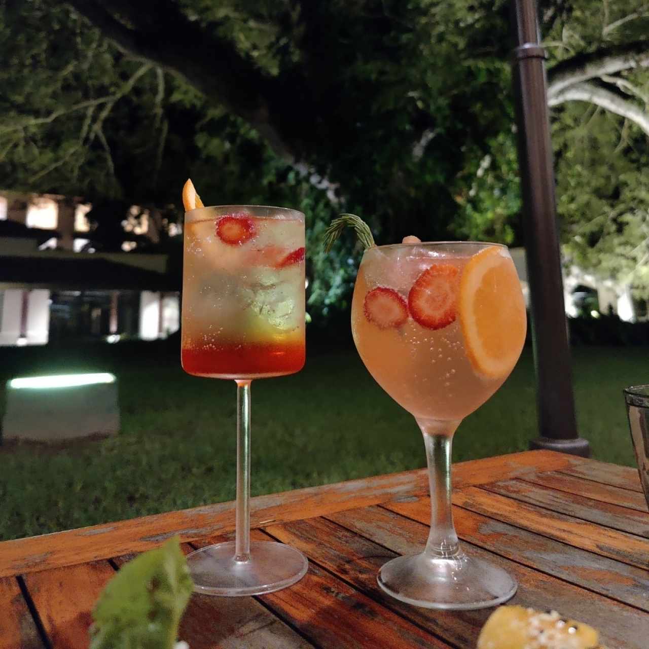 fruit gin y spritz