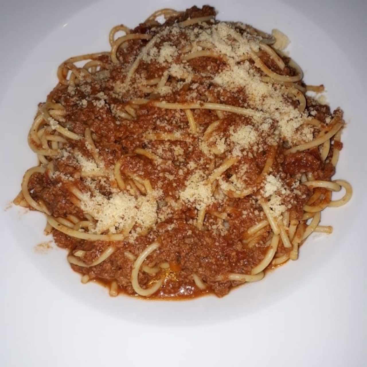 spagueti bologñesa