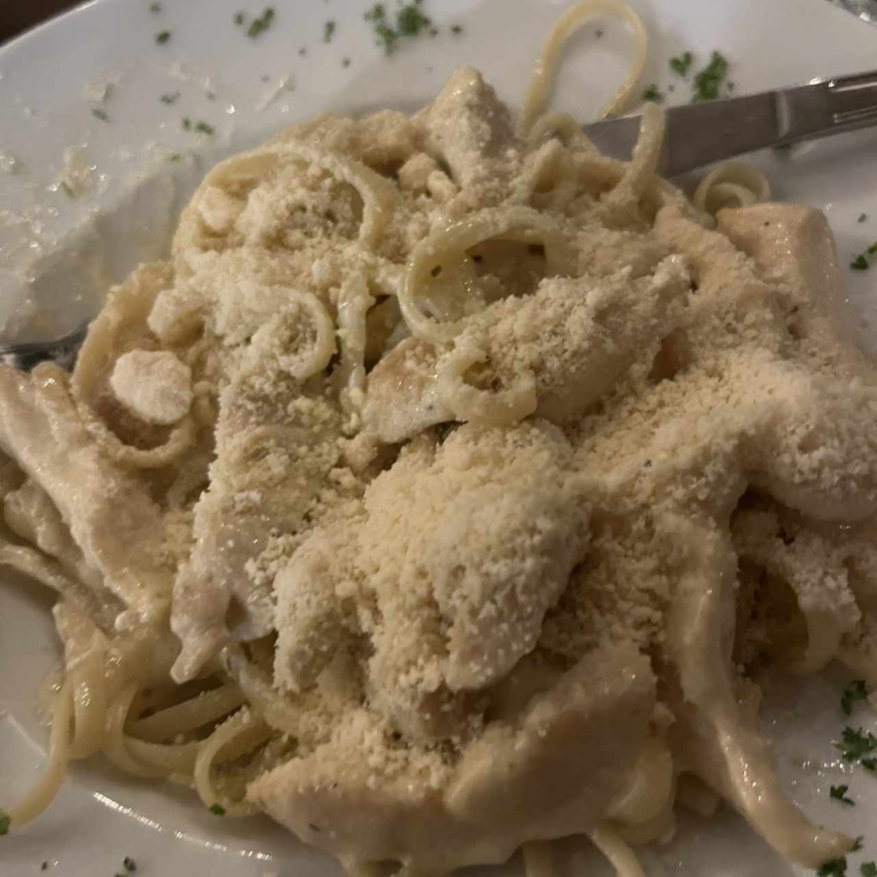 Pasta de pollo en salsa blanca