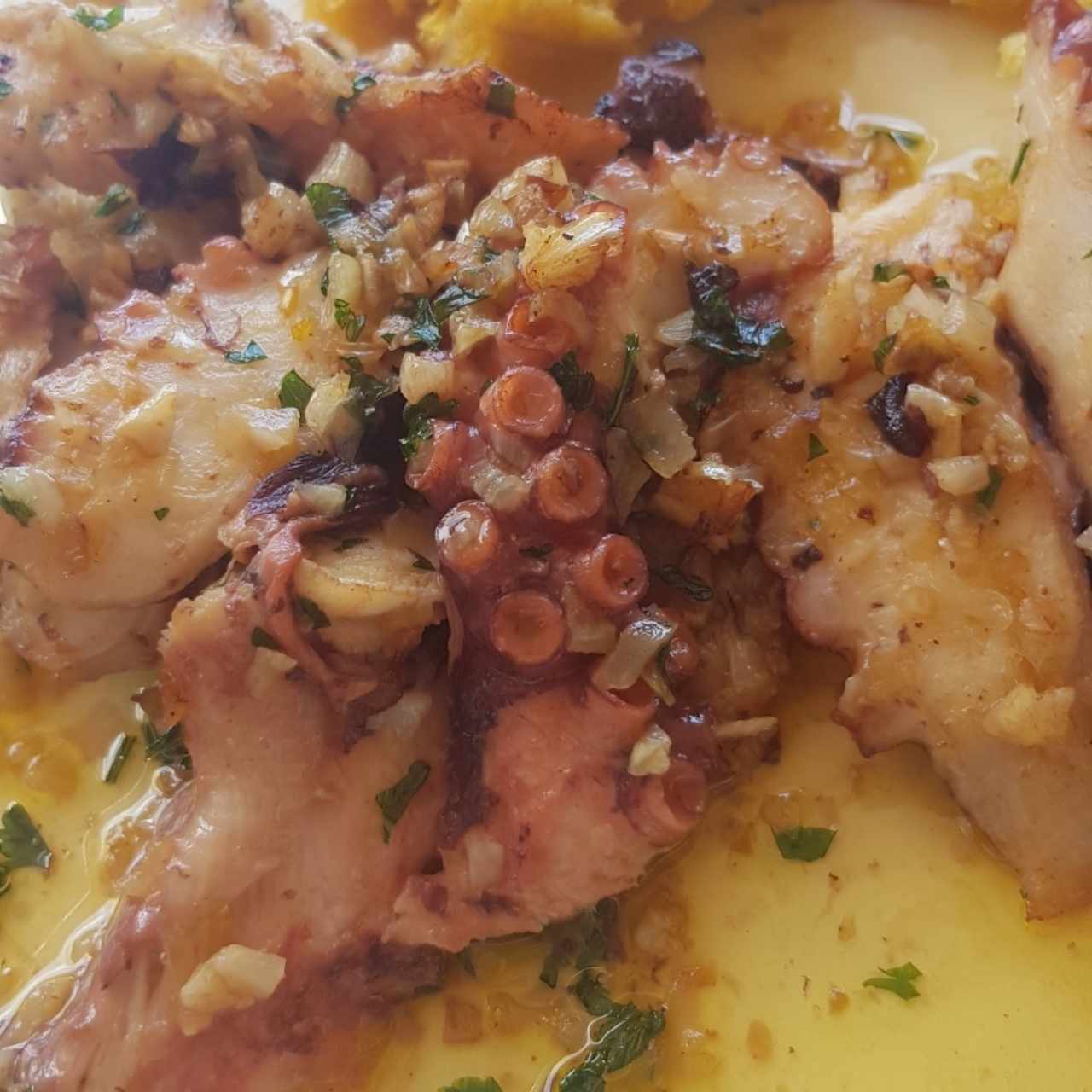 pulpo al ajillo