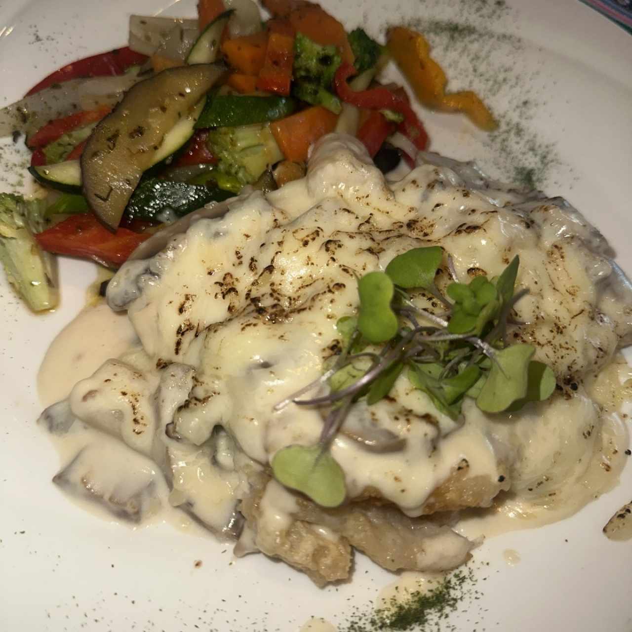 Corvina Limeña 