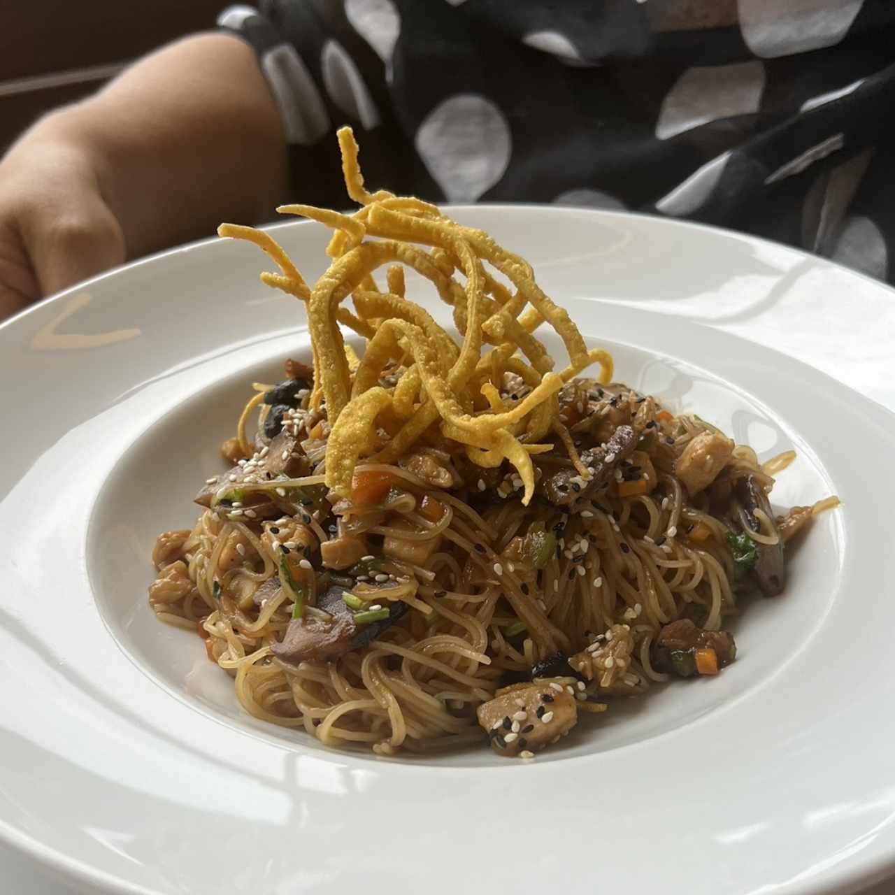 Pancit (Fideos de Arroz,Pollo,Hongo Shitake)