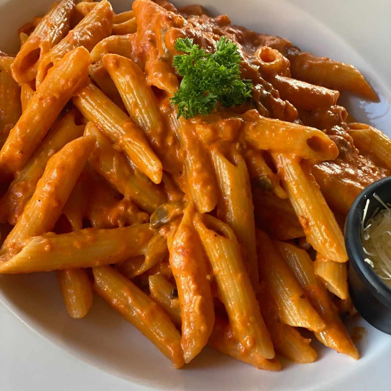 Penne Rose