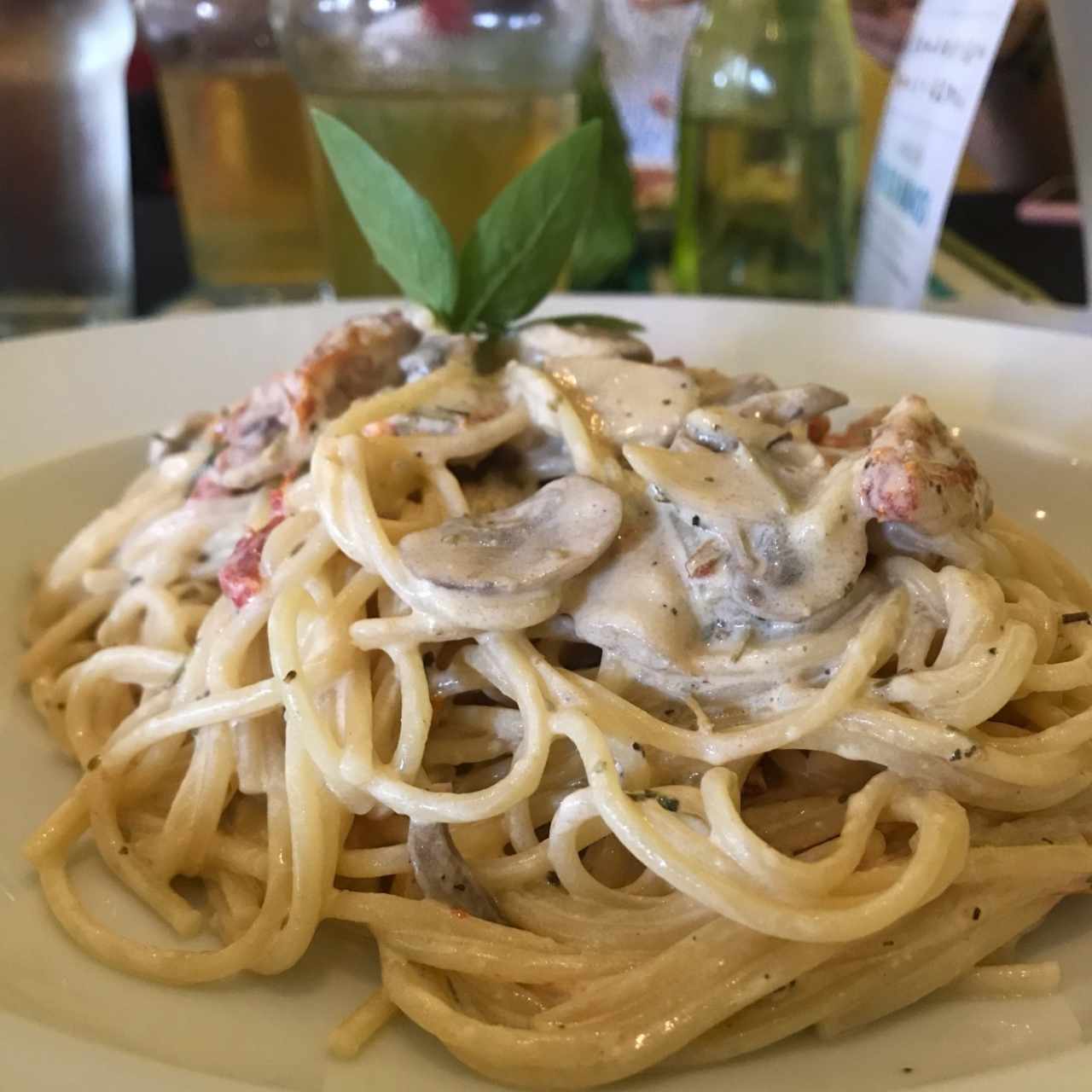 Pasta con Hongos + Tomates Secos + Albahaca 