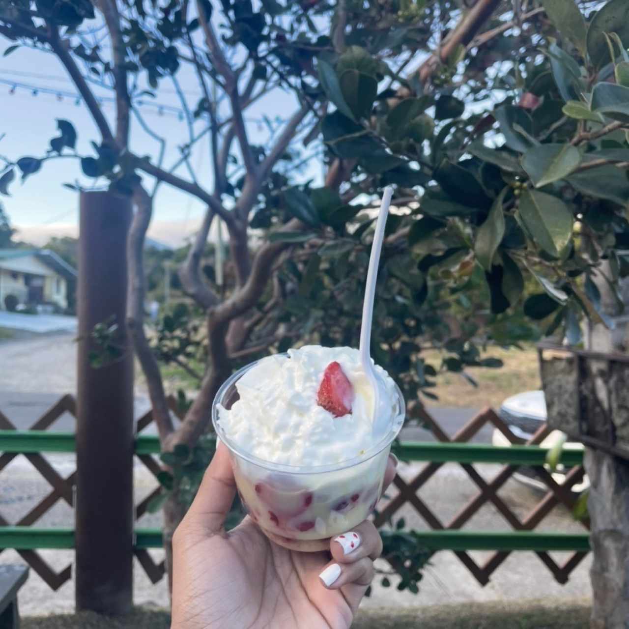 Fresas con Crema y Leche Condensada