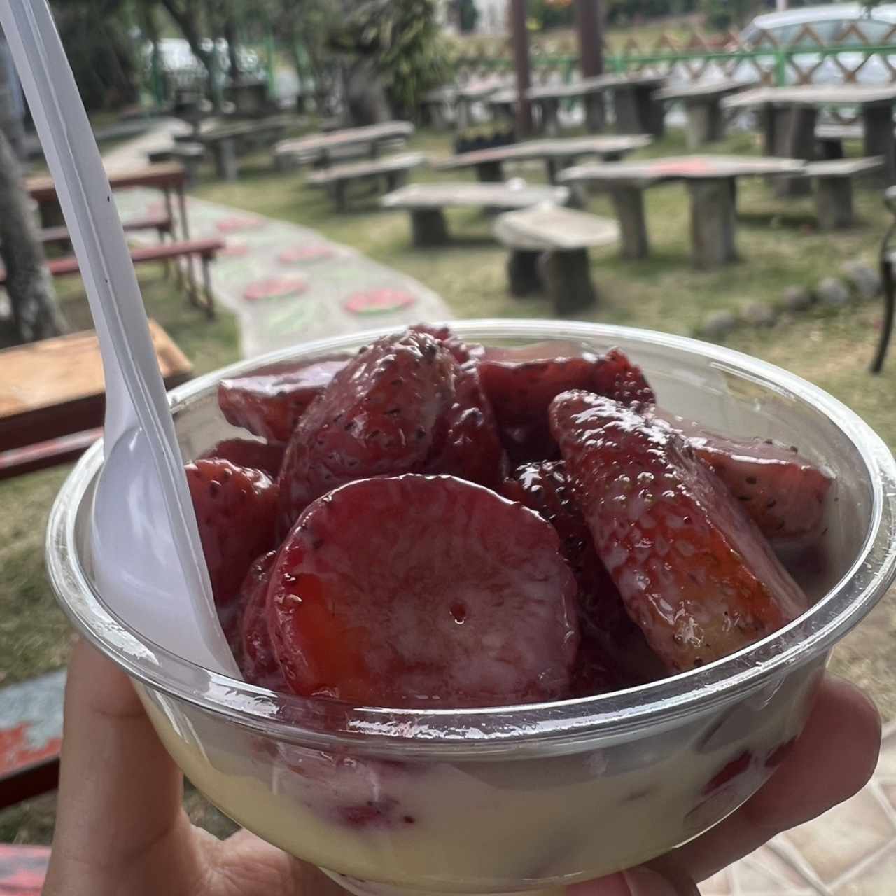 Fresas con leche condensada