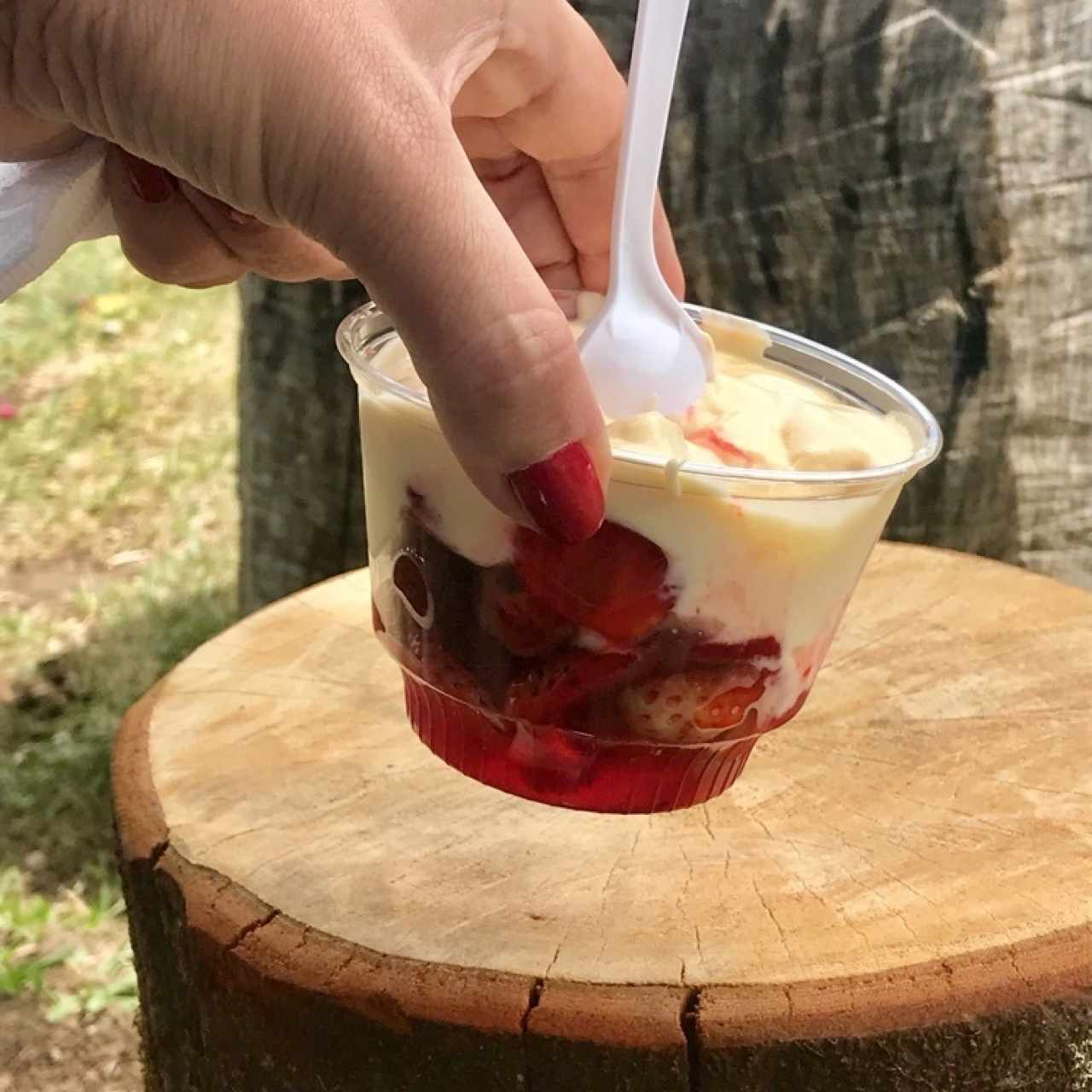 fresas y natilla