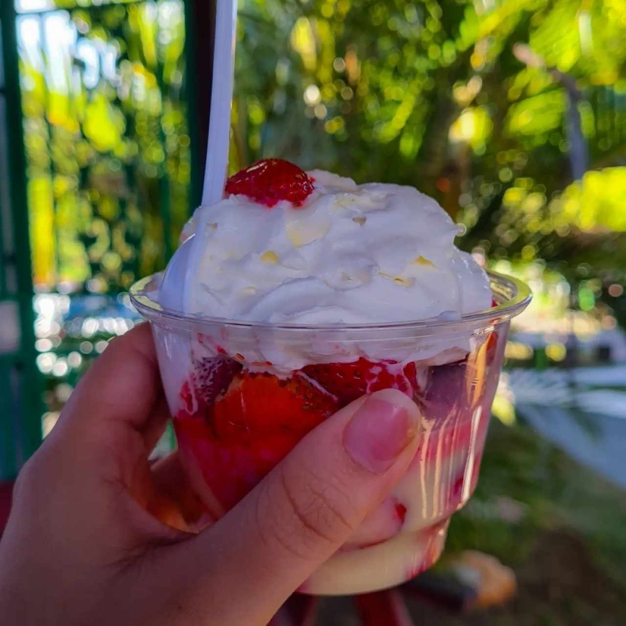 fresas con crema y leche condensada