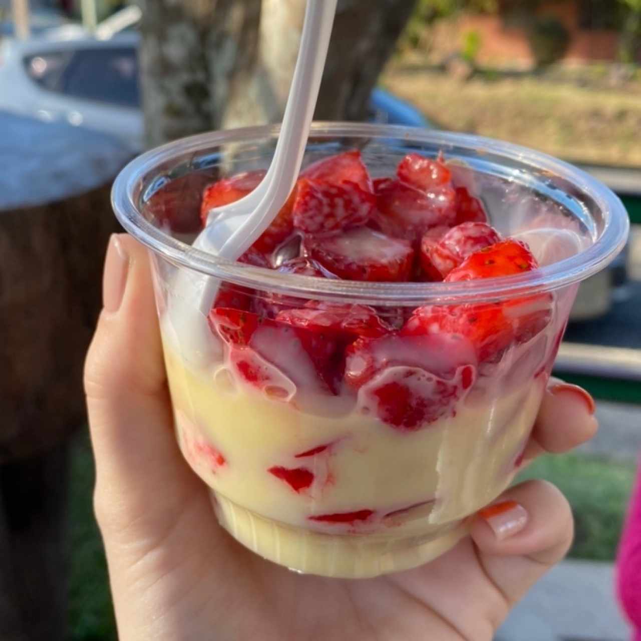 Fresas con leche condensada