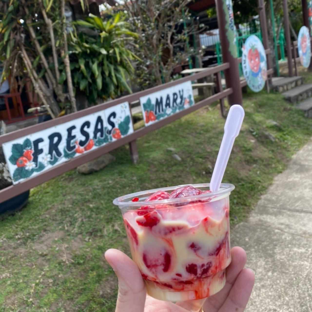 Fresas con leche condensada