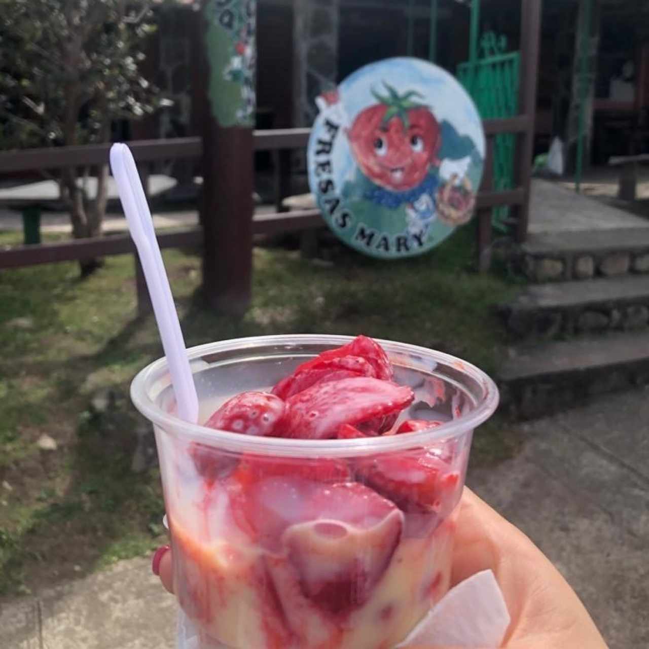 Fresas con leche condensada 