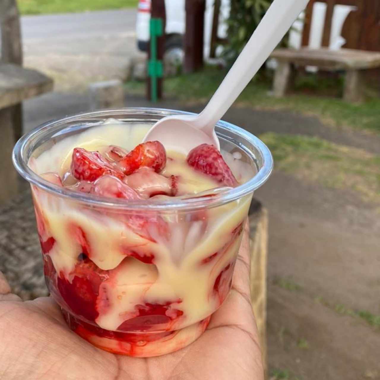 fresas xon leche condensada