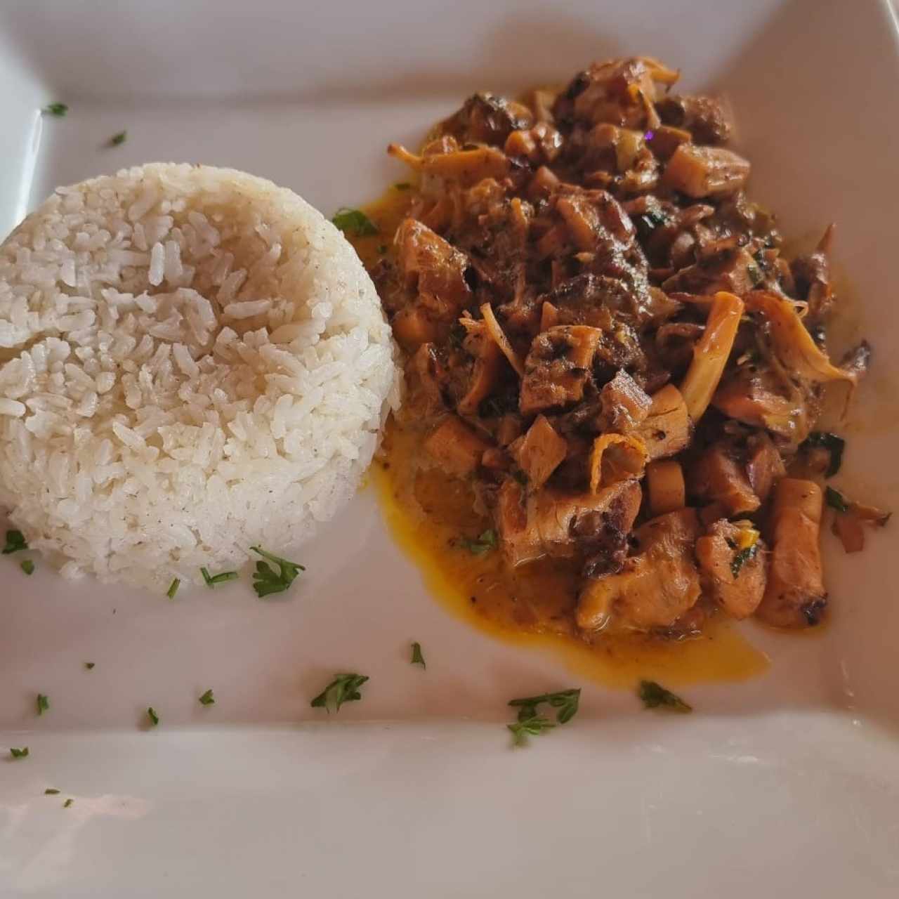 Arroz de coco con pulpo - no hay nada malo en este plato