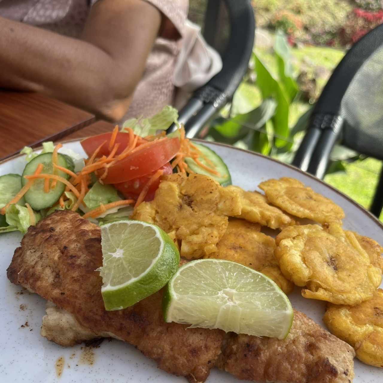 Filete a la Plancha