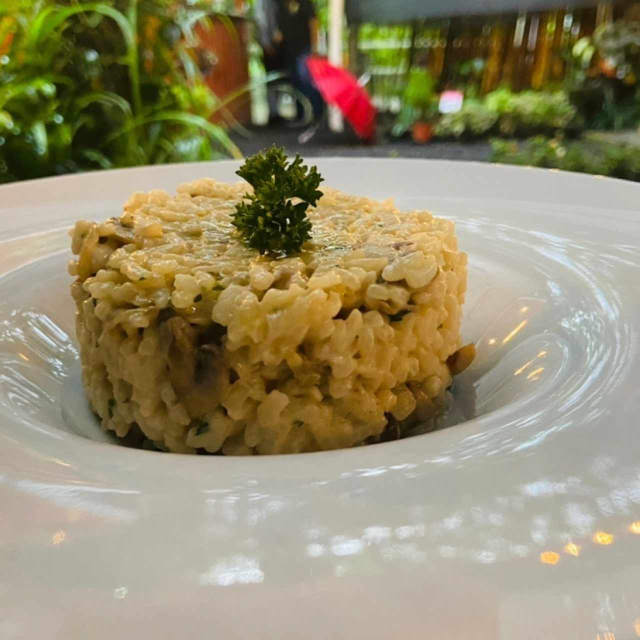Risotto de hongos