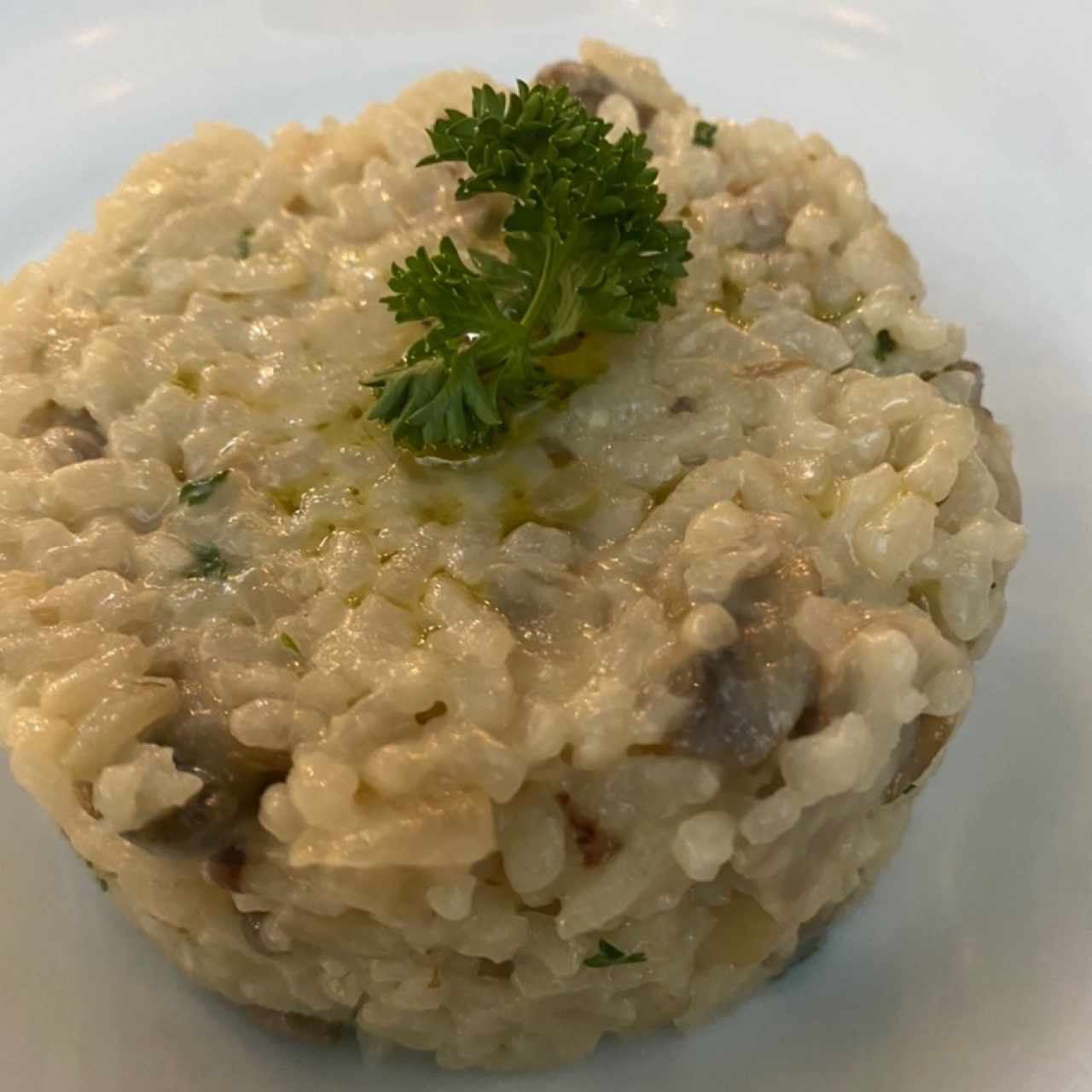 Risotto de hongos