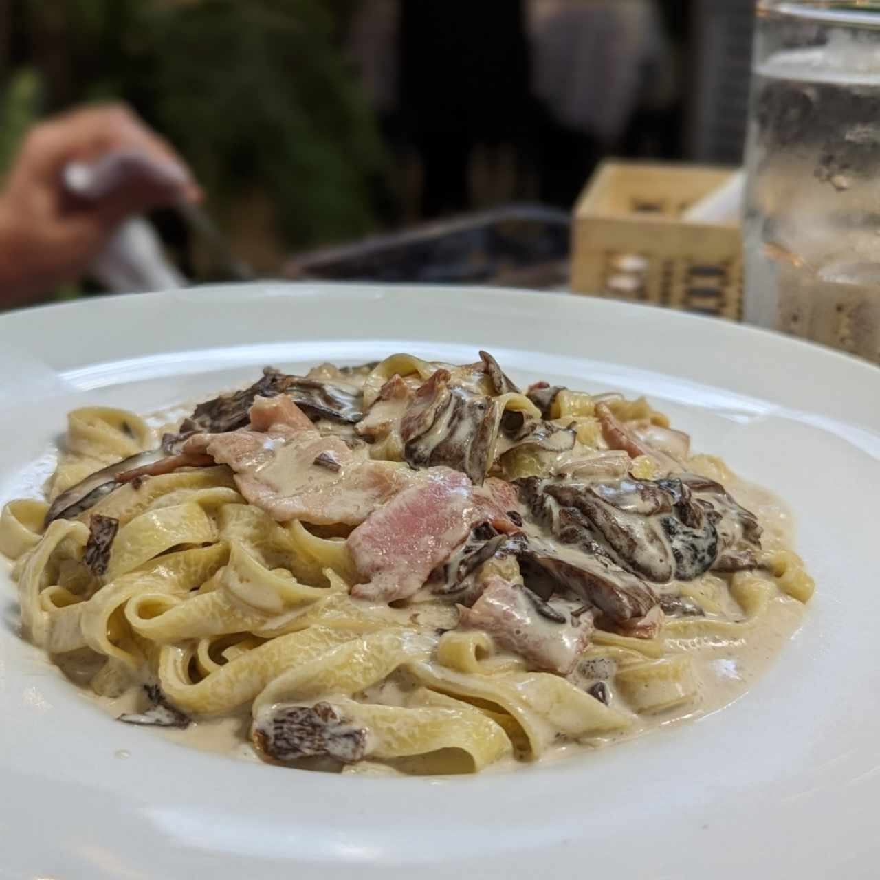 fettuccine a la alfredo con tocinos y hongos 