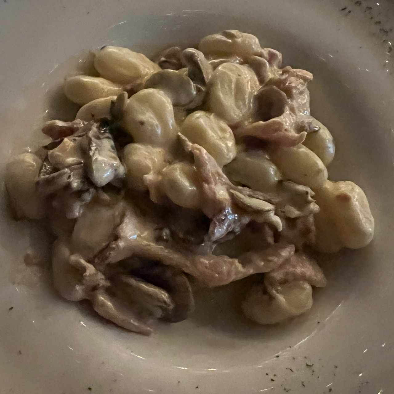 gnocchi 