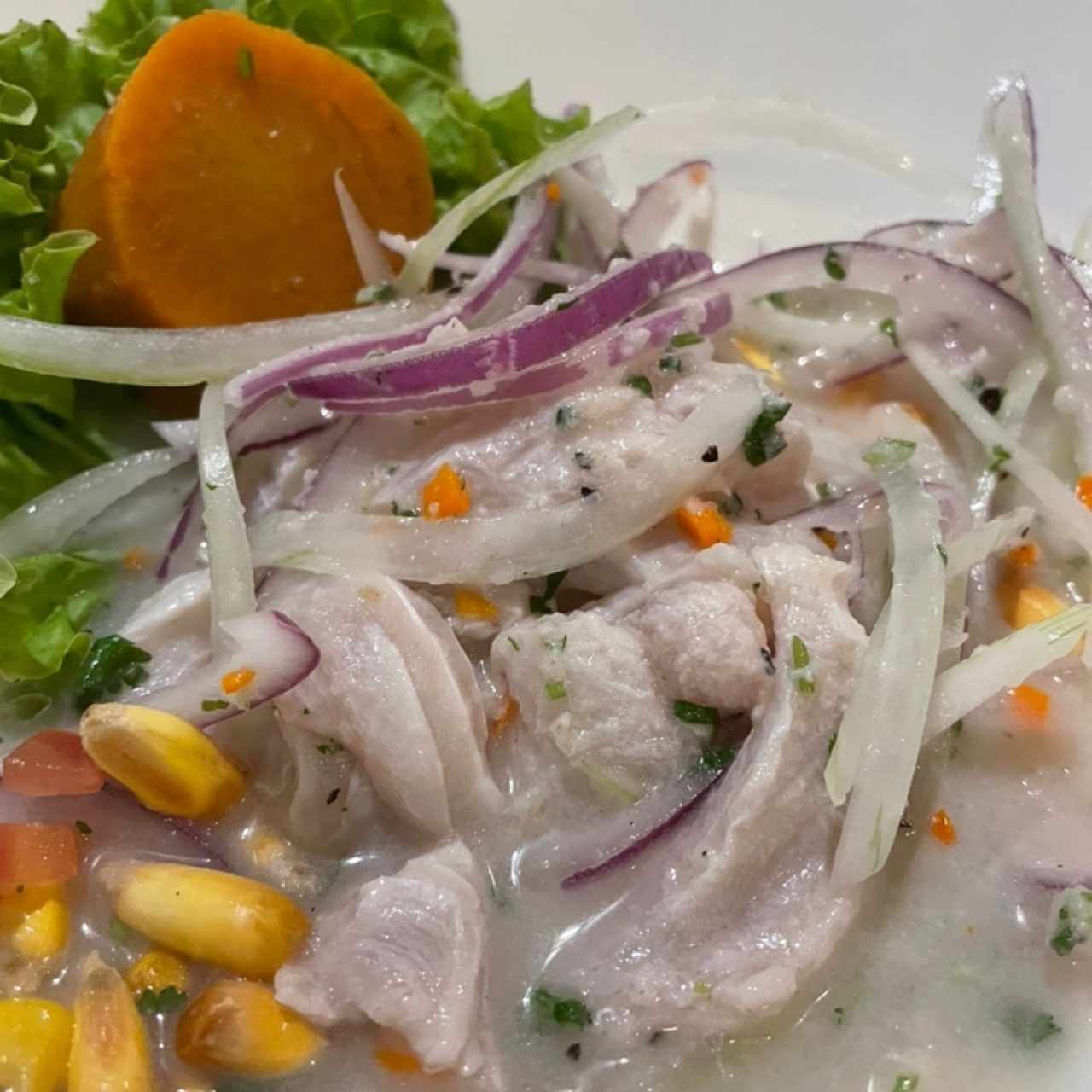 Ceviche de Corvina 