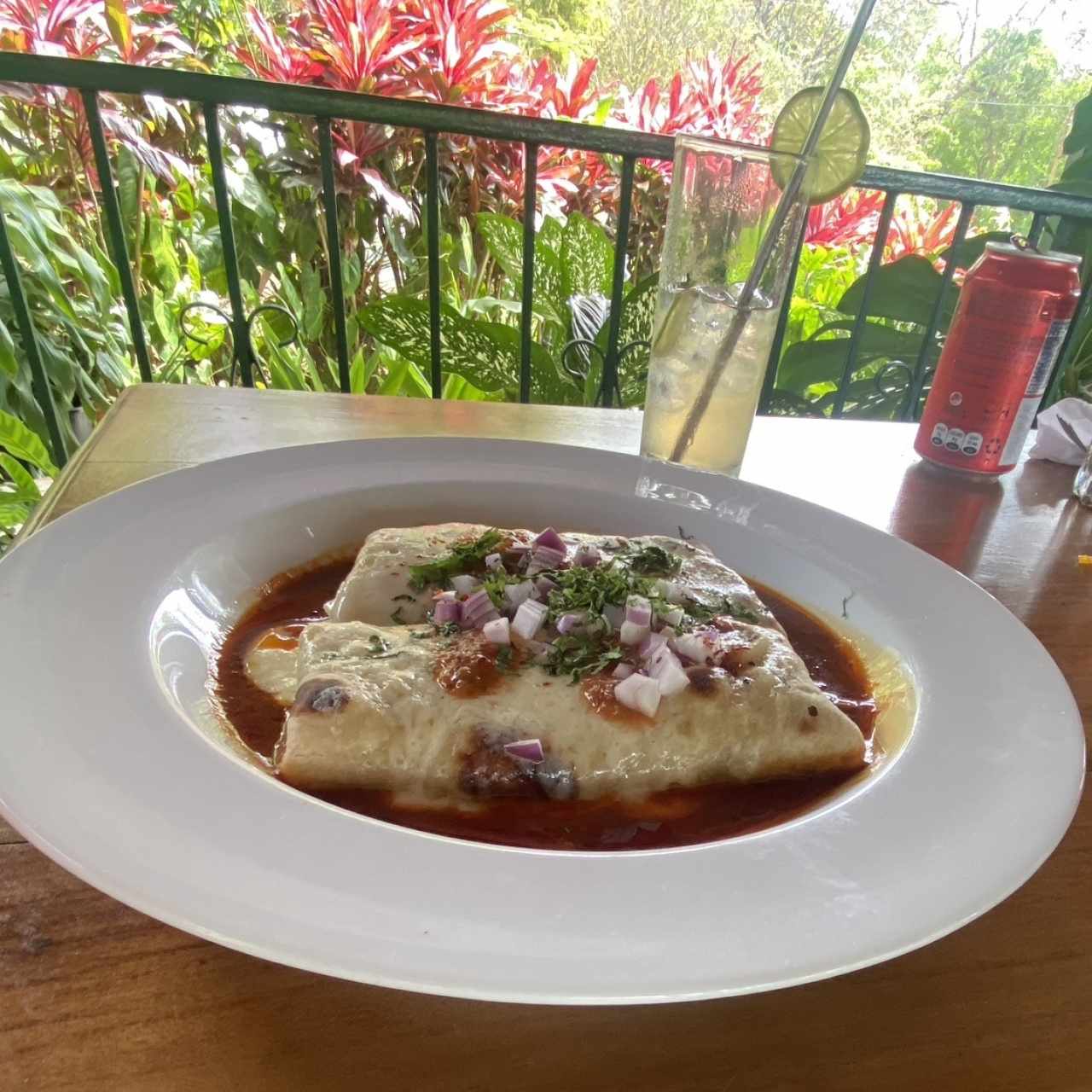 Enchiladas de pollo 