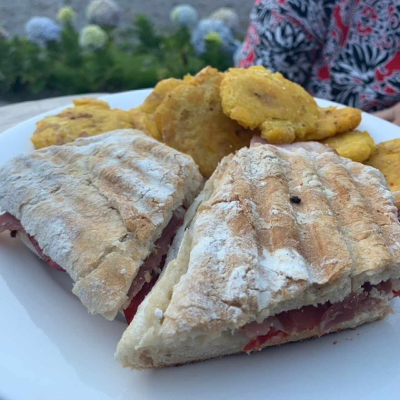 Panini de carnes frías 