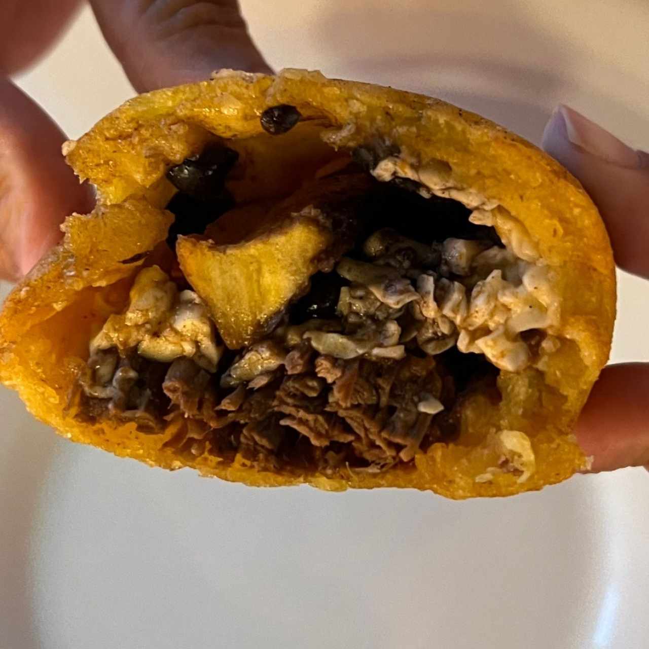 Empanada Pabellón