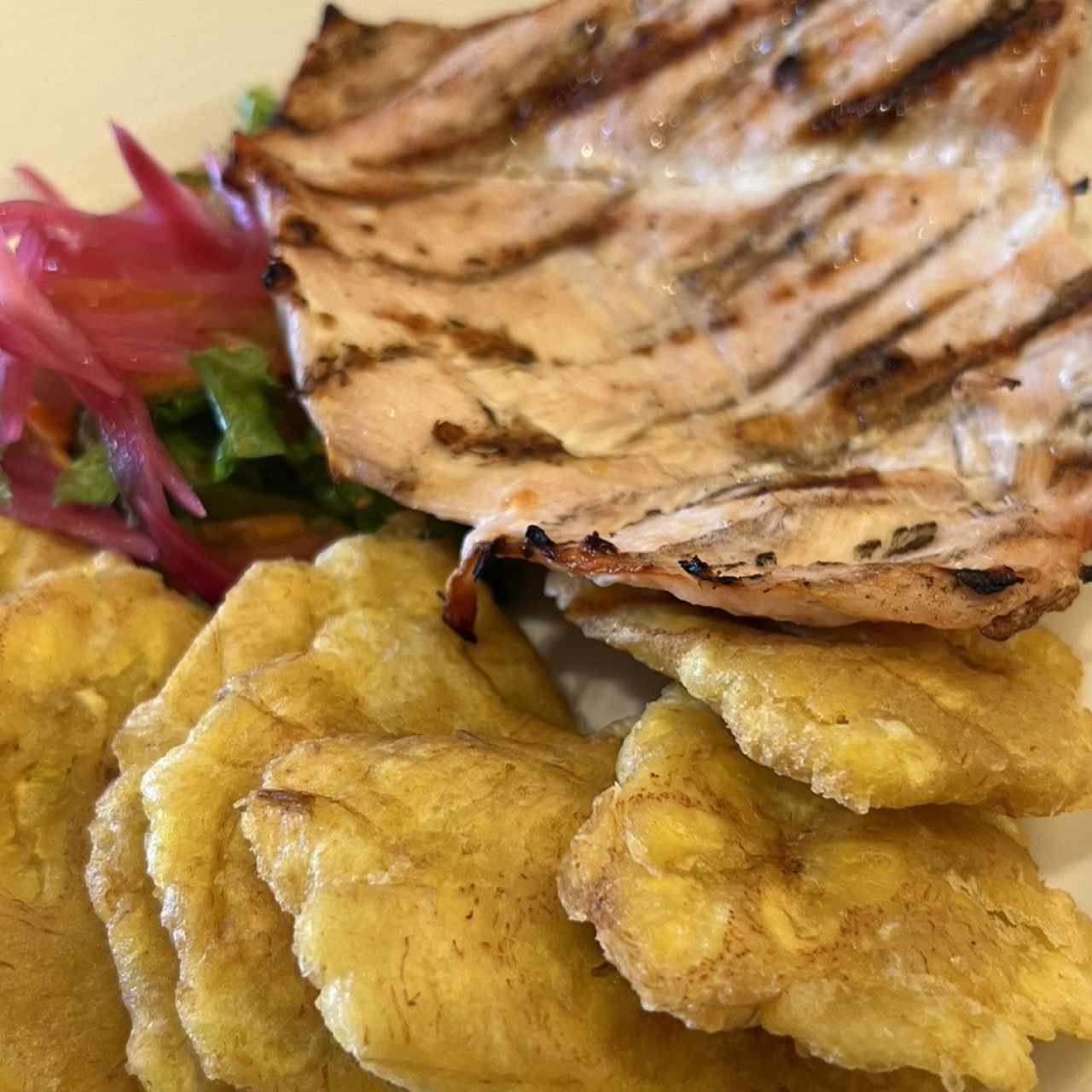 pollo 
