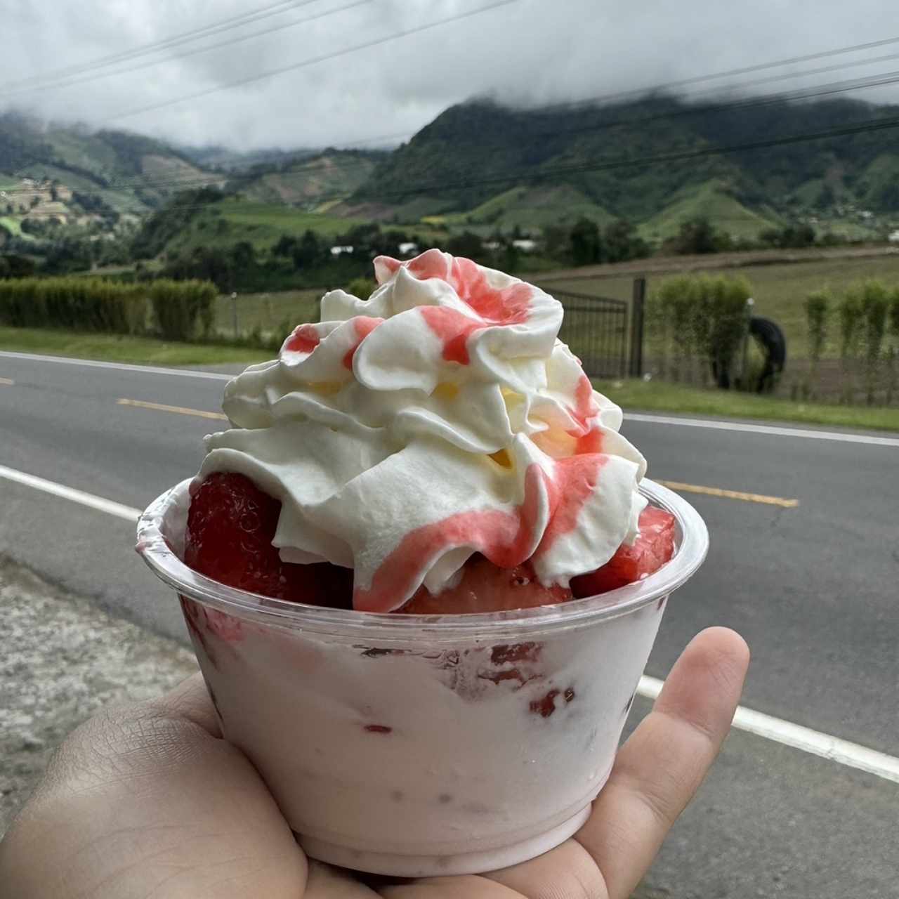 Fresas con crema