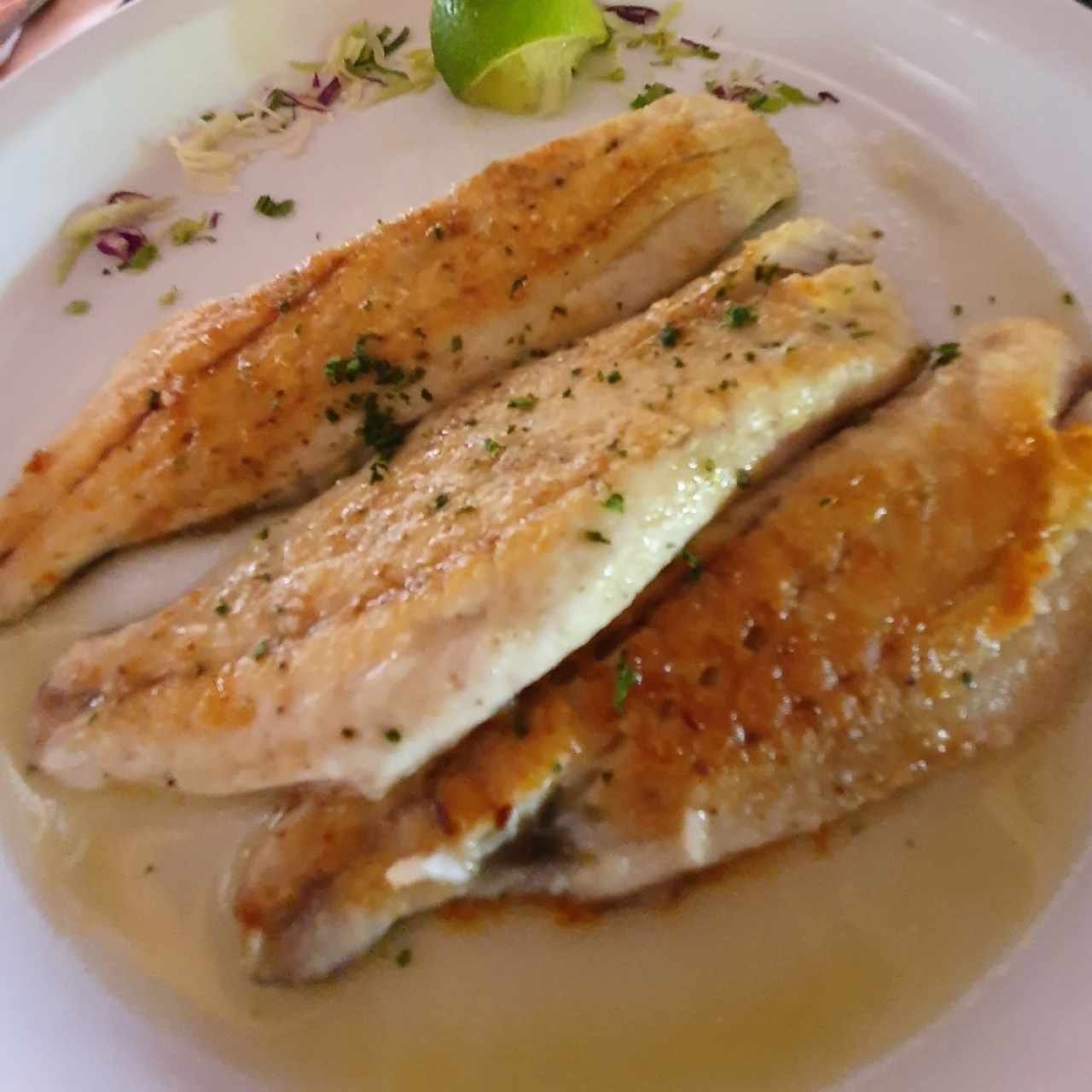 Corvina al limón