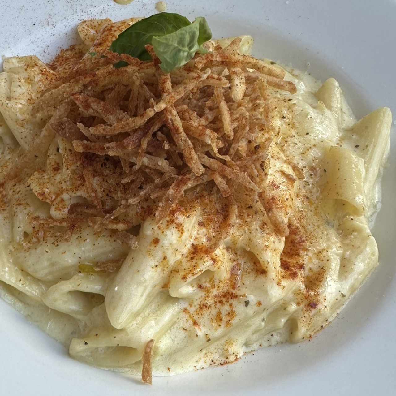 Penne con crema de Chayote y Queso Gratinado