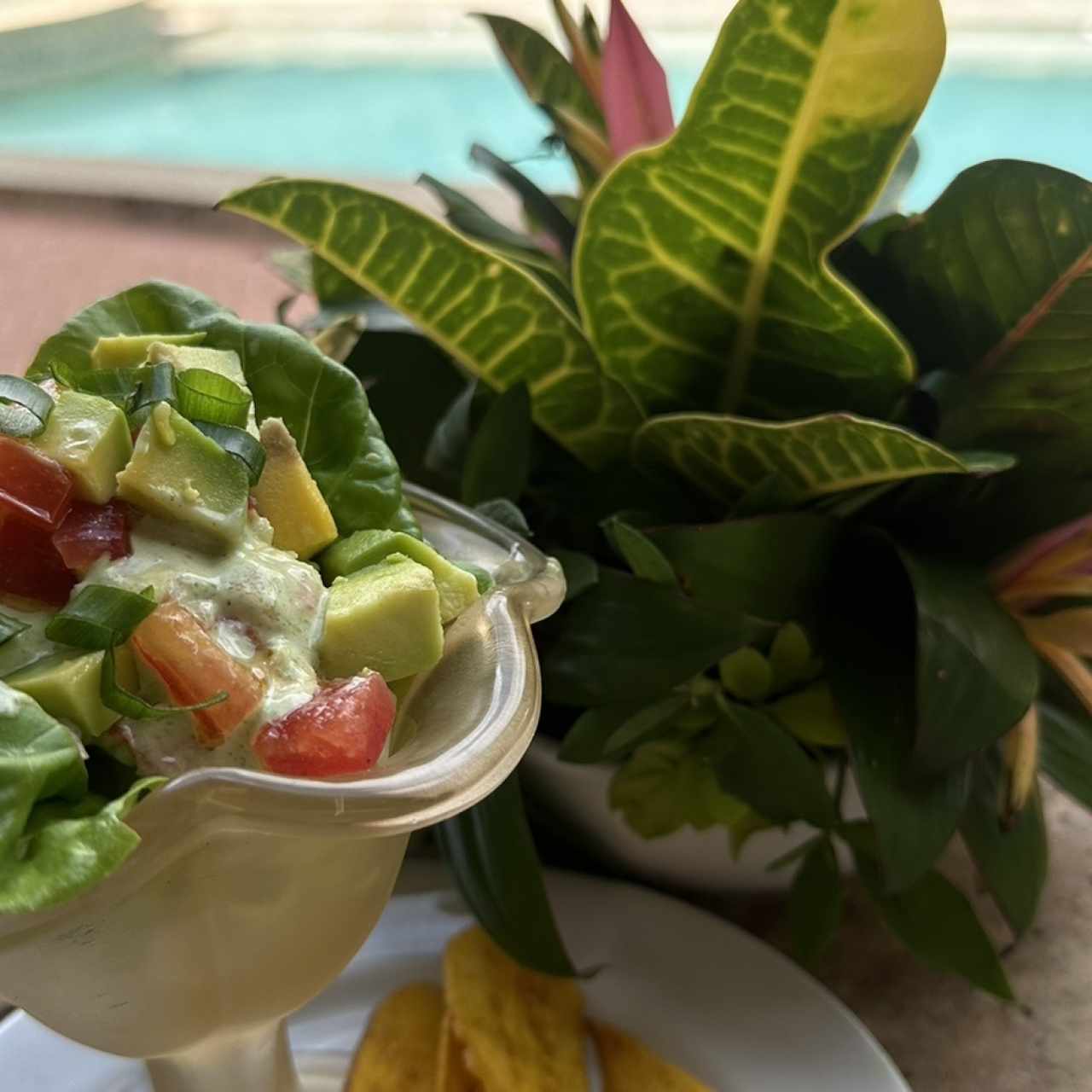 Coctel de camarones con aguacate, cilantro y tomate