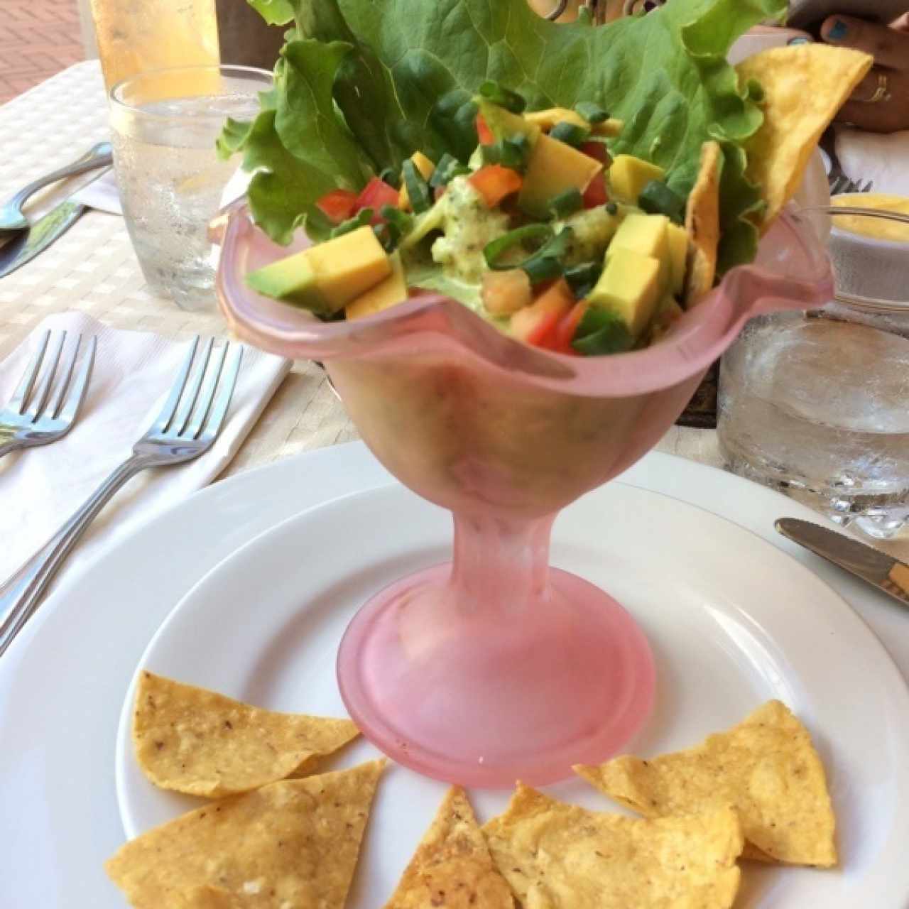 coctail de camarones con aguacate y cilantro