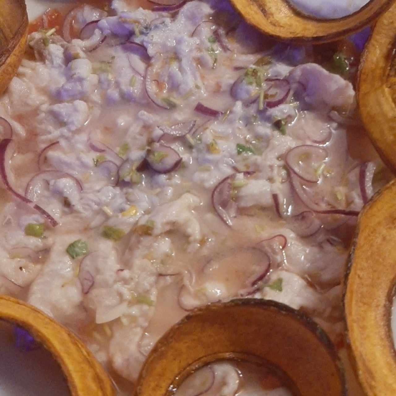 TIRADITO DE LENCUADO