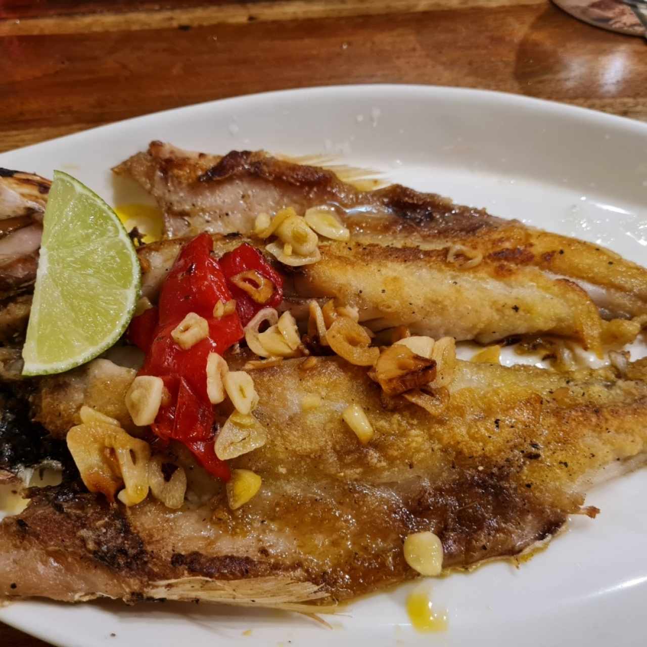 PARGO/CORVINA A LA ESPALDA