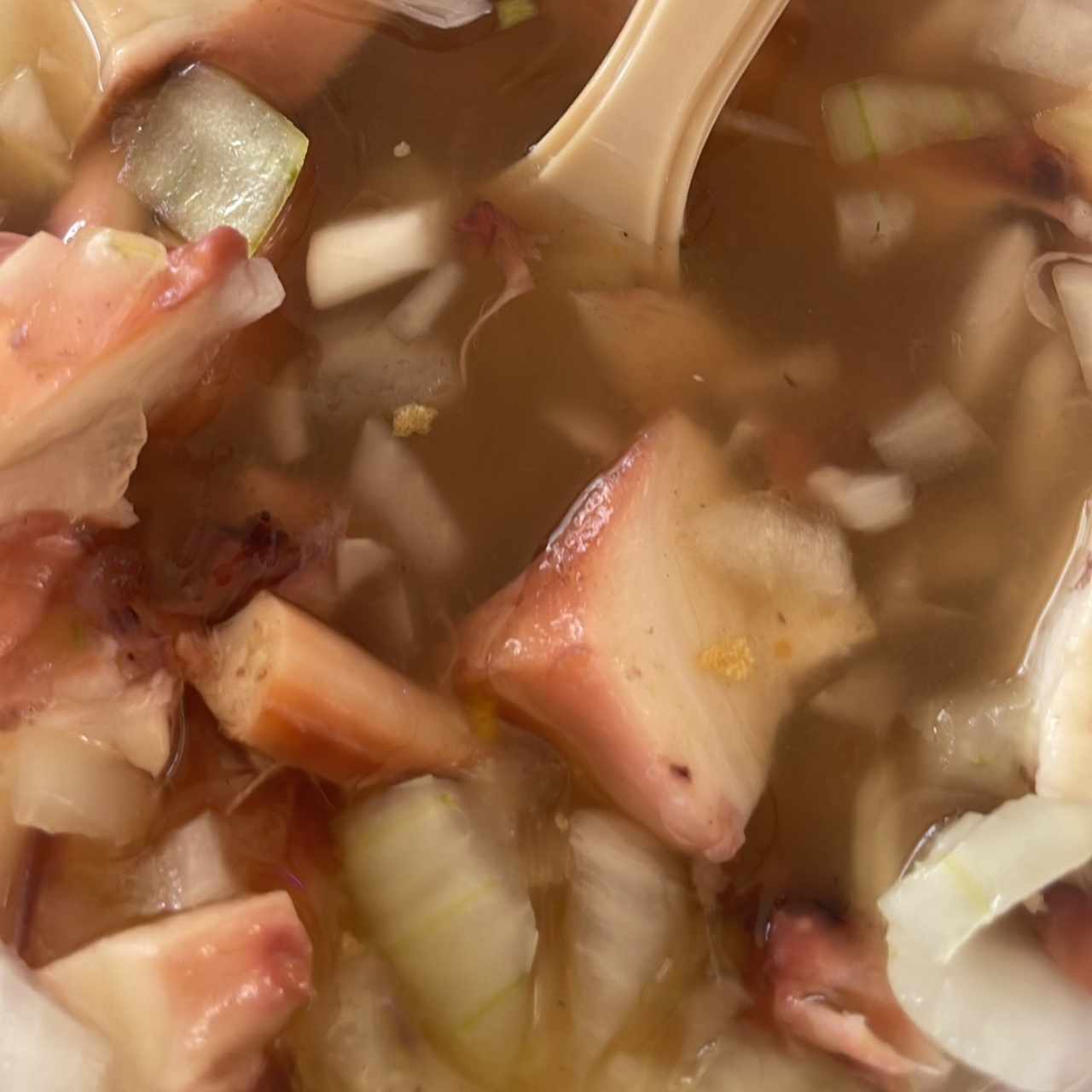 Ceviche de pulpo