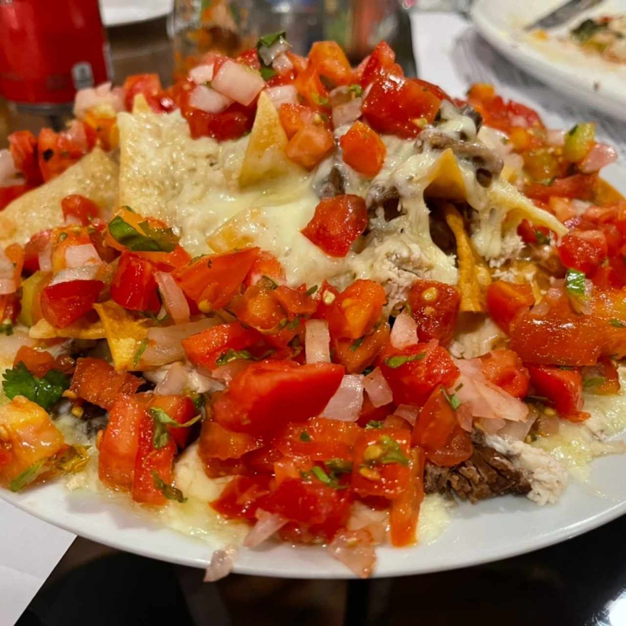 Nachos mixtos