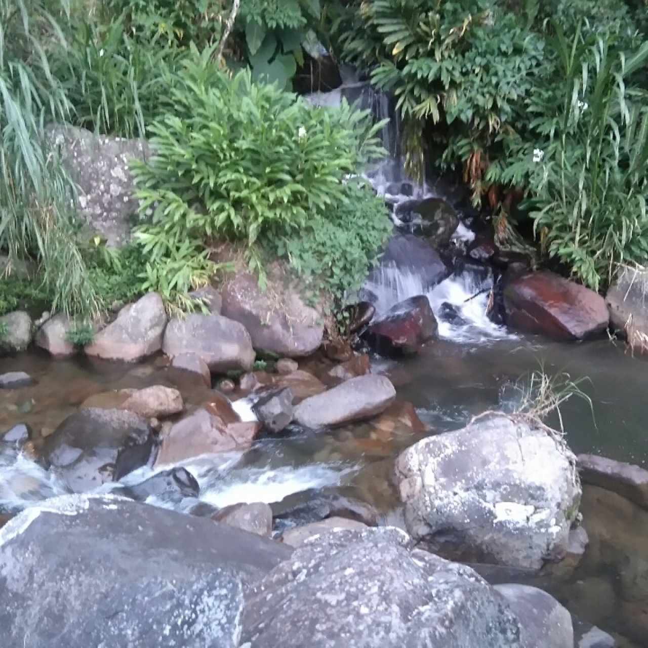 fondo de la terraza, excelente ambiente 