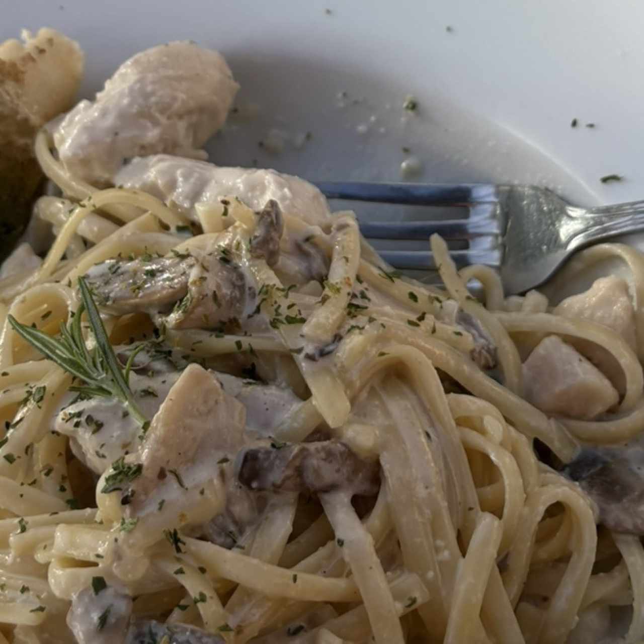 Pasta Alfredo 