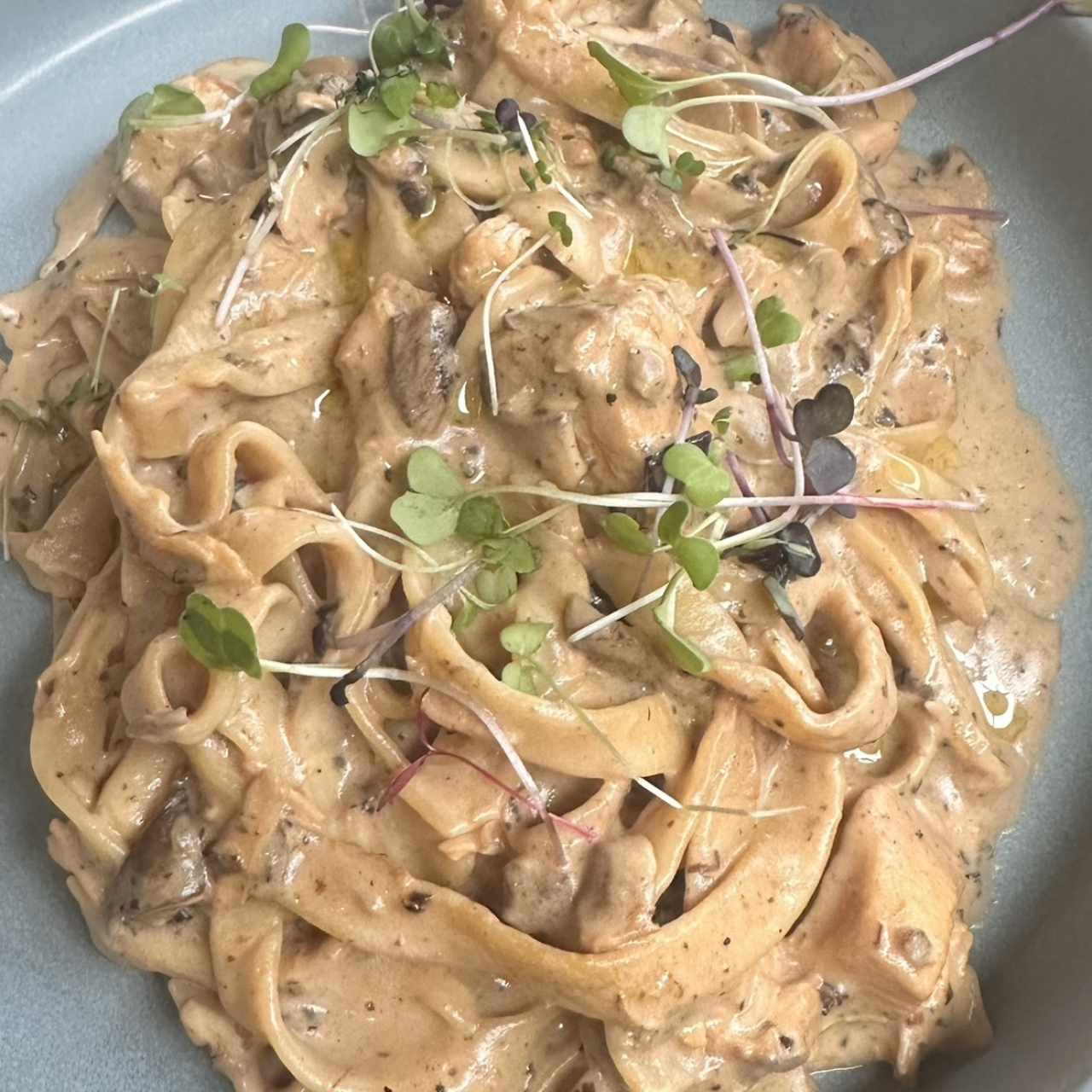 Fettuccine De Pollo Trufado