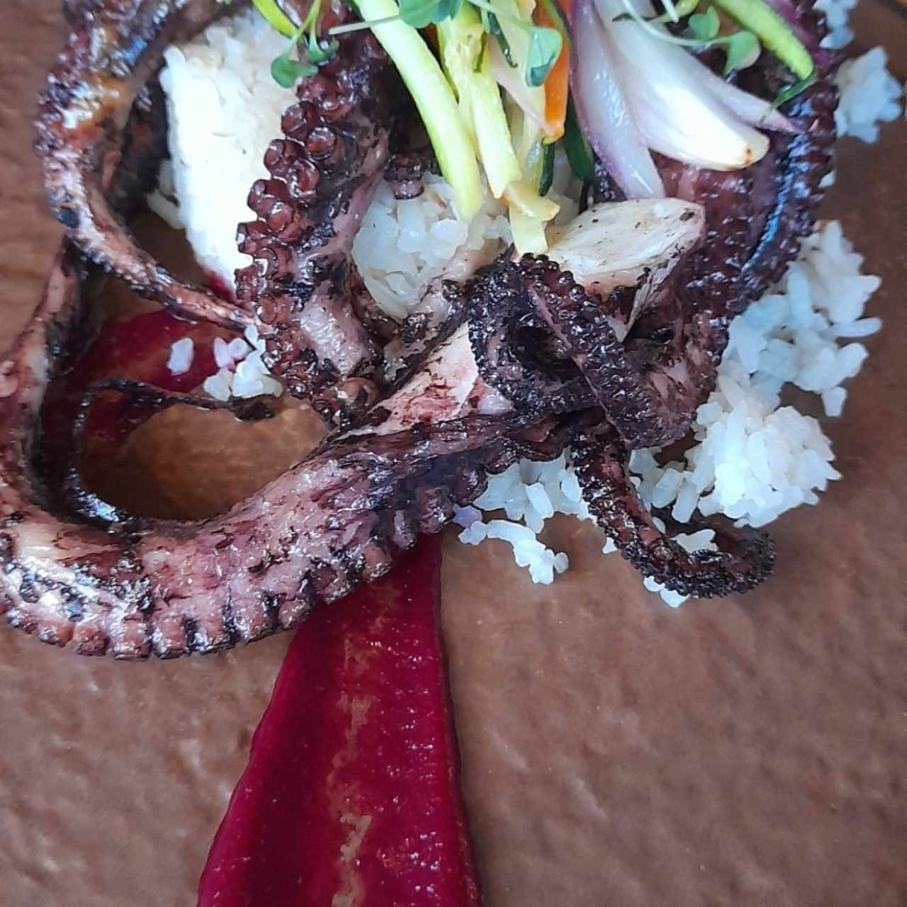 Pulpo al carbon arroz con coco y vegetales