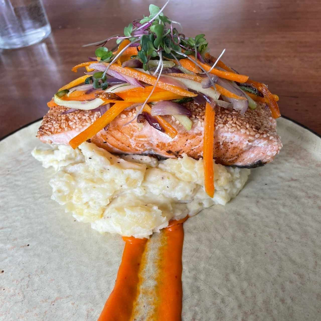 Salmon