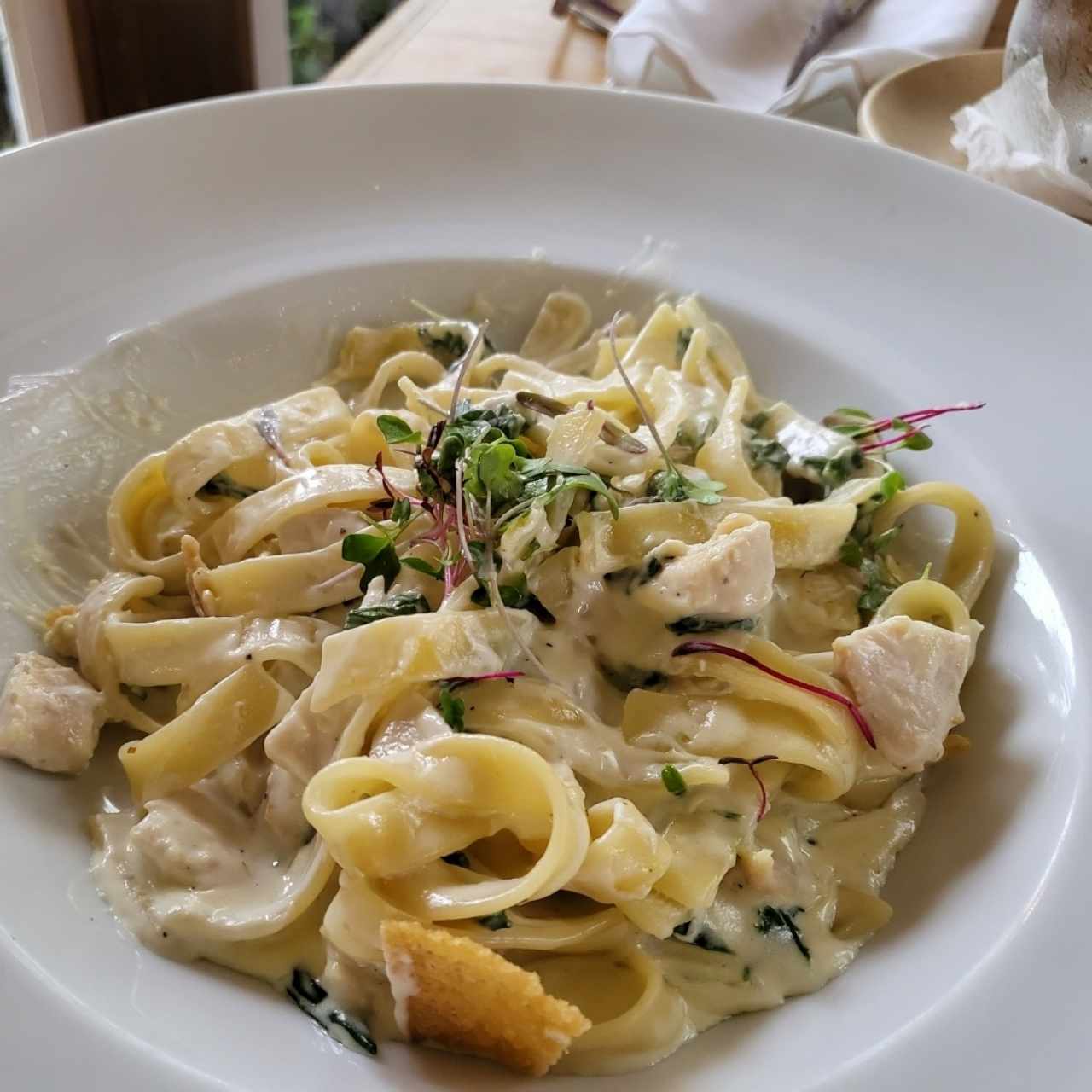 Fettucinni con Pollo y Espinaca